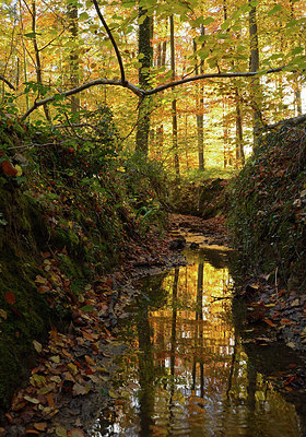 BUITEN BEELD Foto: 308431