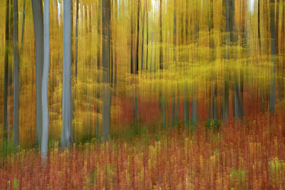 BUITEN BEELD Foto: 308448
