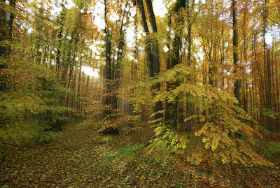 BUITEN BEELD Foto: 308449