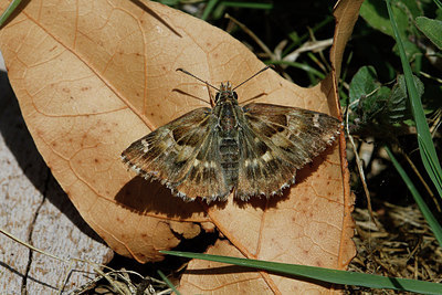 BUITEN BEELD Foto: 308476