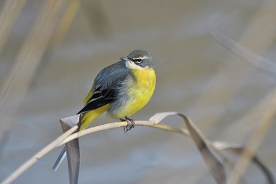 BUITEN BEELD Foto: 308481