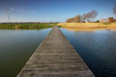 BUITEN BEELD Foto: 308536