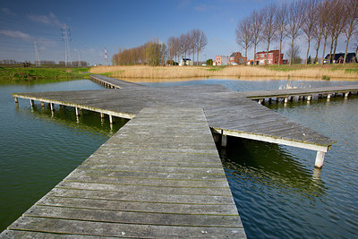 BUITEN BEELD Foto: 308538