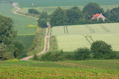 BUITEN BEELD Foto: 308544