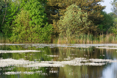 BUITEN BEELD Foto: 308575