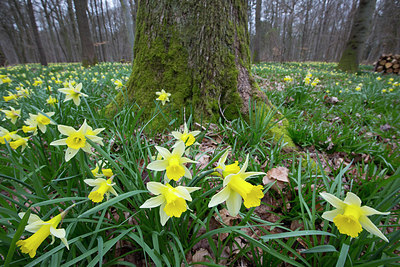 BUITEN BEELD Foto: 308578