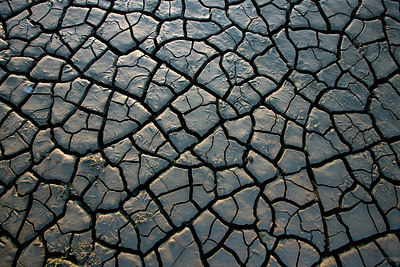 BUITEN BEELD Foto: 308596
