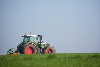 BUITEN BEELD Foto: 308601