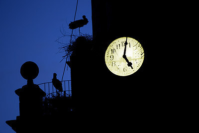 BUITEN BEELD Foto: 308650