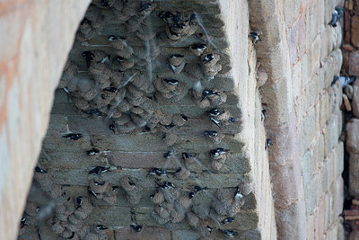 BUITEN BEELD Foto: 308651