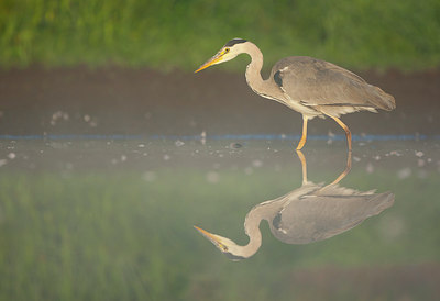 BUITEN BEELD Foto: 308669