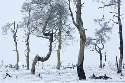 BUITEN BEELD Foto: 308677