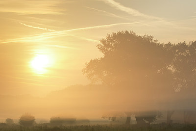 BUITEN BEELD Foto: 308693