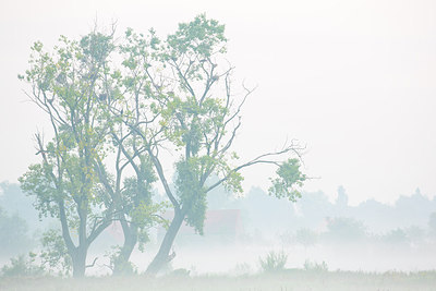 BUITEN BEELD Foto: 308702