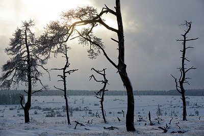 BUITEN BEELD Foto: 308722