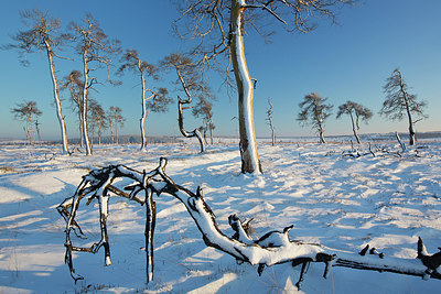 BUITEN BEELD Foto: 308724