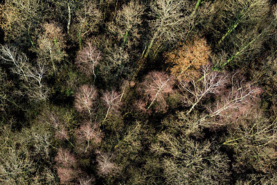 BUITEN BEELD Foto: 308730