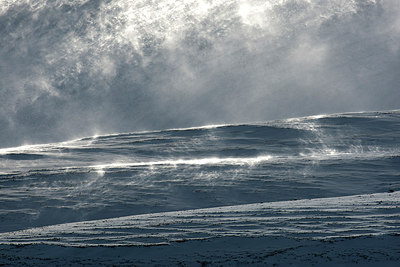 BUITEN BEELD Foto: 308790