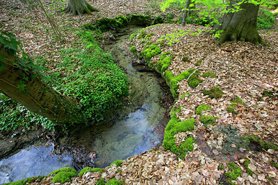 BUITEN BEELD Foto: 308819