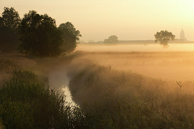 BUITEN BEELD Foto: 308840