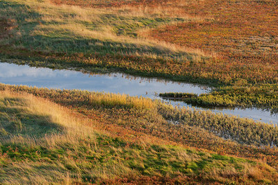 BUITEN BEELD Foto: 308848