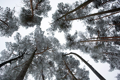 BUITEN BEELD Foto: 308904