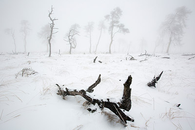 BUITEN BEELD Foto: 308942