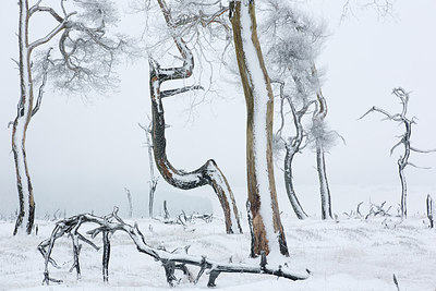 BUITEN BEELD Foto: 308971