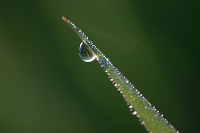 BUITEN BEELD Foto: 30032
