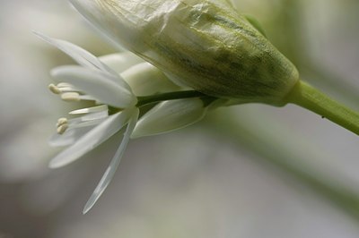 BUITEN BEELD Foto: 30056