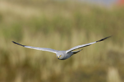 BUITEN BEELD Foto: 30083