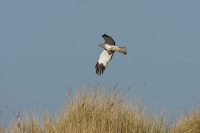 BUITEN BEELD Foto: 30084