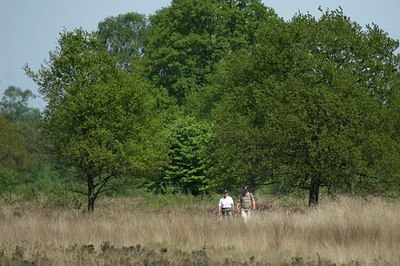 BUITEN BEELD Foto: 30119