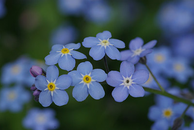 BUITEN BEELD Foto: 30145