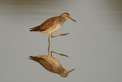 BUITEN BEELD Foto: 30148