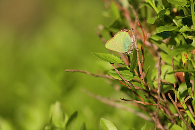 BUITEN BEELD Foto: 30162