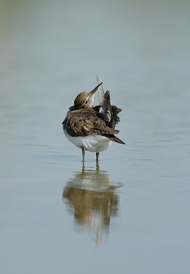BUITEN BEELD Foto: 30226