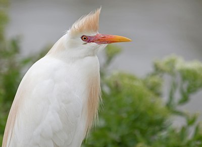 BUITEN BEELD Foto: 30227