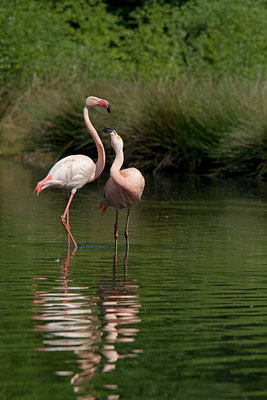 BUITEN BEELD Foto: 30307