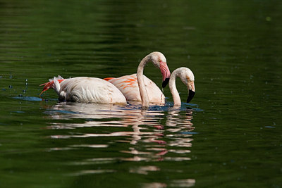 BUITEN BEELD Foto: 30308