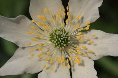 BUITEN BEELD Foto: 30363