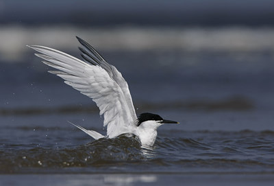 BUITEN BEELD Foto: 30416
