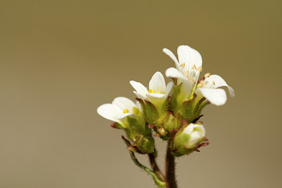 BUITEN BEELD Foto: 30472
