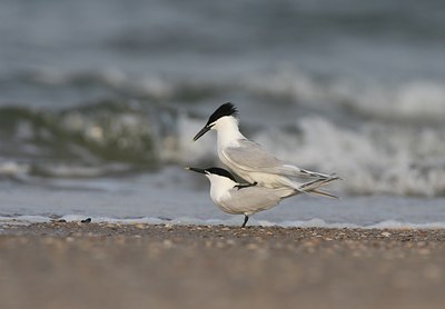 BUITEN BEELD Foto: 30506