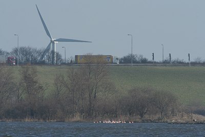 BUITEN BEELD Foto: 30517