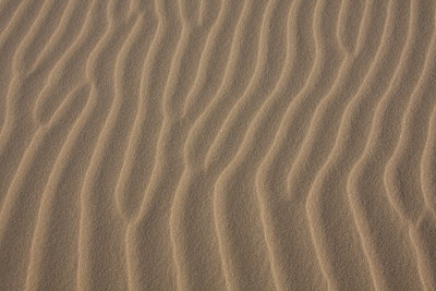 BUITEN BEELD Foto: 30550