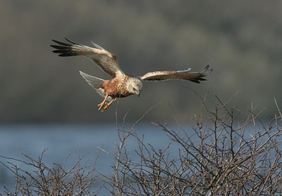 BUITEN BEELD Foto: 30567