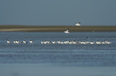 BUITEN BEELD Foto: 30571