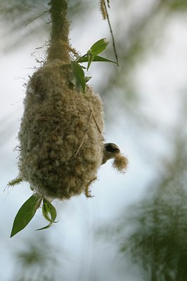 BUITEN BEELD Foto: 30614