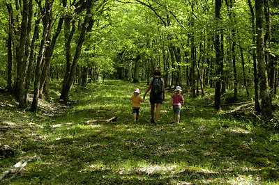 BUITEN BEELD Foto: 30684